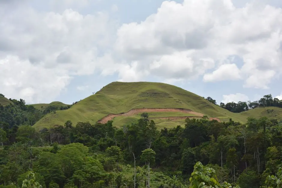 Panorama Bukit Puncak Manik
